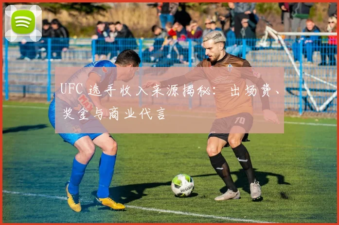 UFC 选手收入来源揭秘：出场费、奖金与商业代言
