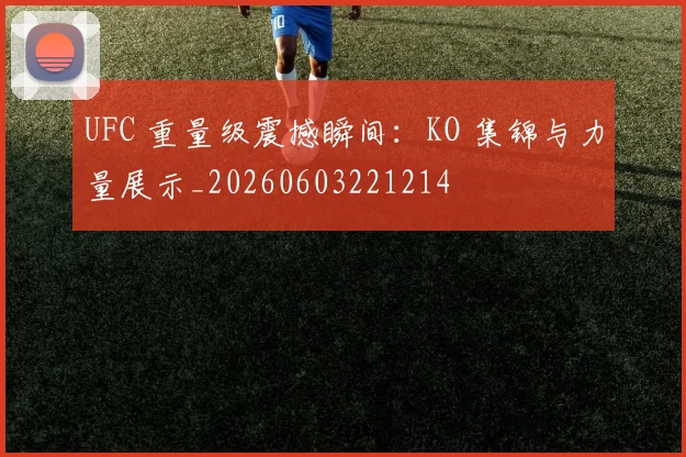 UFC 重量级震撼瞬间:KO 集锦与力量展示_20260603221214